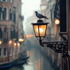 pigeon perched atop a streetlight pole in Venice, overlooking the narrow streets and canals,