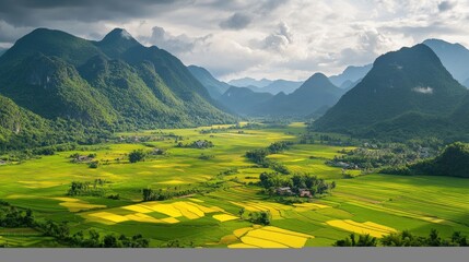 Obraz premium Panoramic View of Lush Rice Terraces and Mountain Peaks