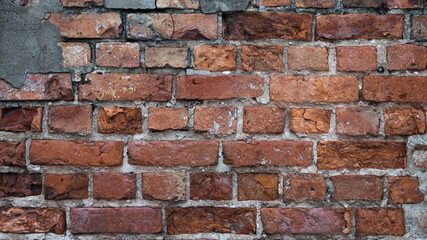 The photo shows a close-up of a brick wall