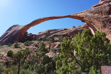 Fototapeta premium Arches National Park