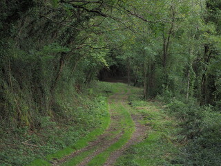 Paseo