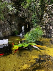 waterfall in the woods