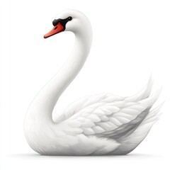Fototapeta premium Elegant White Swan Gracefully Posing On White Background