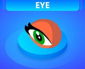 Eye isometric icon. Vector illustration. 3d concept