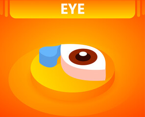 Eye isometric icon. Vector illustration. 3d concept