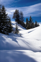 snow covered mountains