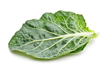 Single Fresh Green Chard Leaf Isolated On White