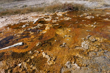 Yellowstone National Park