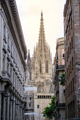 Obraz premium Atemberaubender Blick auf die Kathedrale von Barcelona mit Stadtlandschaft und Himmel, wunderschöne Architektur, ikonisches Wahrzeichen, malerische Landschaft