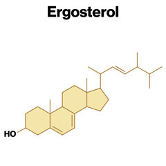 Structure of Ergosterol Molecule, Steroid Alcohol Found in Fungal Membranes, Detailed Scientific Vector Illustration on White Background