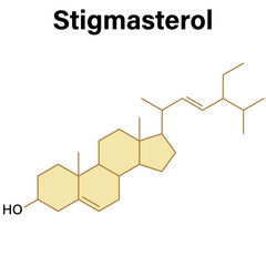 Structure of Stigmasterol Molecule, Detailed Chemical Structure, Science Vector Illustration, White Background