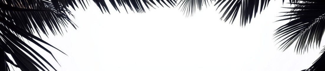 Obraz premium Tropical palm leaves frame on white background.