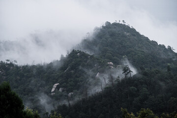 Atemberaubende japanische Natur mit üppigem Grün, nebelverhangenen Bergen und Wolken, wunderschöne, ruhige Landschaft, friedliche Szene