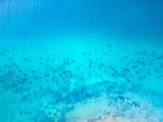 Vibrant Blue Sea Textures. A mesmerizing aerial view showcasing the intricate textures of a bright turquoise sea, with subtle waves and scattered coral patches near the sandy shoreline.