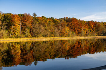 Autumn Forest Reflection, Brilliant autumn colors mirrored across a tranquil lake, with vibrant...