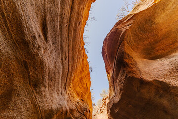 Amazing orange canyon called Barranco de las vacas located on Grand Canaria, Canary Islands, Spain