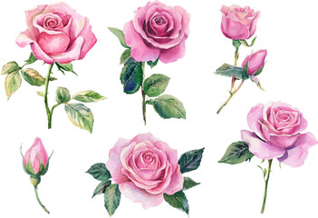 pattern with pink roses