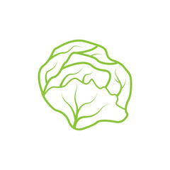 Cabbage icon vector design template