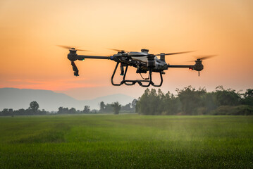 Smart farm with drone, Agriculture drone fly to sprayed fertilizer on the rice fields in the...