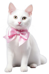 PNG Japanese Bobtail cat wears white Ribbon animal kitten pet.