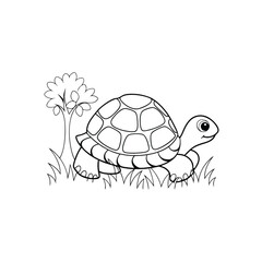 turtle