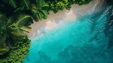 A scenic Caribbean beach with turquoise water and soft sand, surrounded by tropical nature. The sun shines brightly, creating a paradise panorama perfect for summer travel and relaxation.