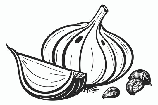 A  black silhouette garlic image with white background