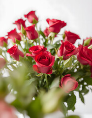 Fototapeta premium Bouquet of roses, watercolor red rose flower arrangement collection, blurry foreground, with white tones