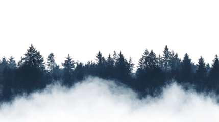 Landscape of a foggy coniferous forest, transparent background