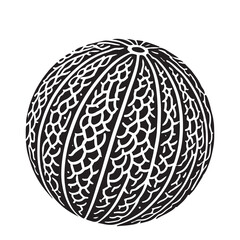 Cantaloupe Silhouette Vector Illustration, Solid White Background.