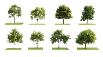 Fototapeta premium Diverse tree varieties on transparency background nature scene graphic design outdoor setting artistic viewpoint