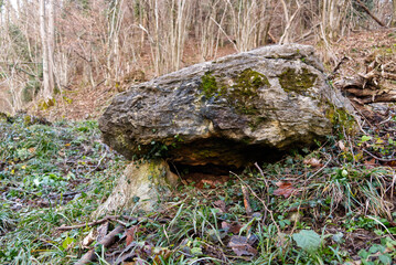 a big granite stone in the bush