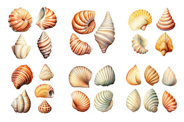 Seashell Collection Watercolor Collection Bundle Set Isolated on a Transparent Background