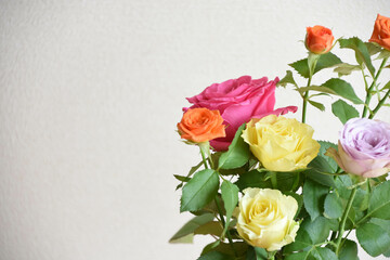 カラフルな薔薇