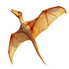 Fototapeta premium A detailed illustration of a pterosaur gliding gracefully in the sky. Captivating prehistoric creature showcasing intricate wing patterns.