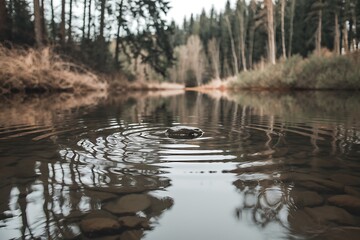 Obraz premium Serene Forest River Stillness Rock Ripples, Tranquil Water Reflections