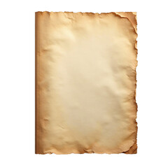 An aged piece of paper with torn edges