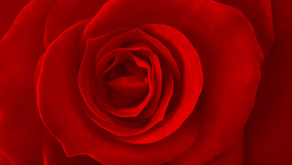 Blurred for background.Red velvet rose for background.Valentine day concept.