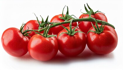 Tomatoes on a vine - Branch of delicious fresh tomatoes, isolated on white background