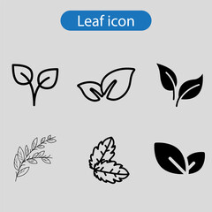 leaf  icon fill and line art vector illustration on white background.
