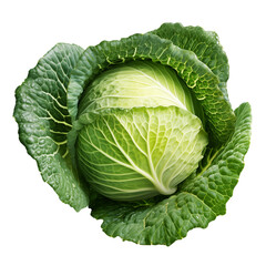 Fototapeta premium cabbage transparent background