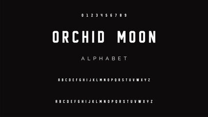 Abstract modern sans serif alphabet font.