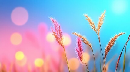 Fototapeta premium Vibrant Grass and Bokeh Effect Under Colorful Sunrise or Sunset Sky with Soft Focus on Nature in a Dreamy and Serene Landscape