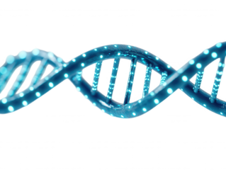 High-Resolution Visualization of a Scientific DNA Helix Model with Glowing Blue Lights Representing Genetic Code and Molecular Structure in a Dark Background