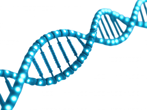 Abstract Representation of a Blue Glowing DNA Double Helix Structure Symbolizing Genetic Science and Biotechnology Innovation in a Futuristic  - Powered by Adobe