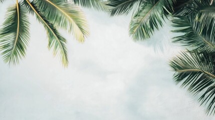 Obraz premium Lush green palm fronds frame a light blue background, creating a tropical summer vibe.