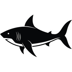 Obraz premium Shark silhouette on white background