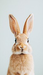 Obraz premium A close-up of a cute rabbit with large ears and expressive eyes against a light background.
