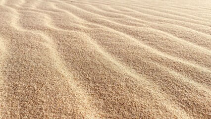 Sand Texture