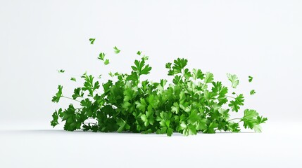 8K realistic 3D render on white background with parsley leaves